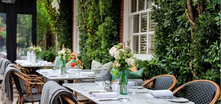 Dalloway Terrace resized