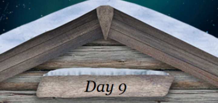 feature 28