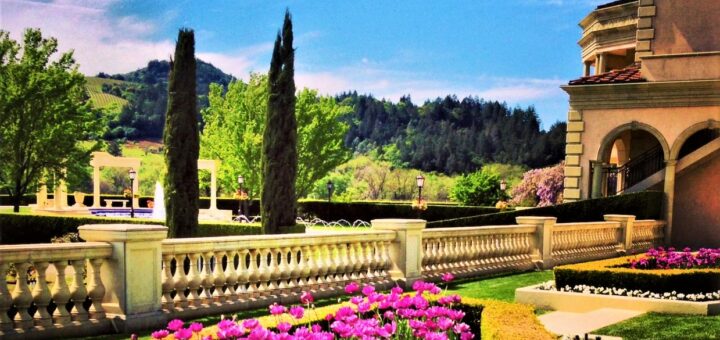 ferrari carano winery ca flowers cropped jpg